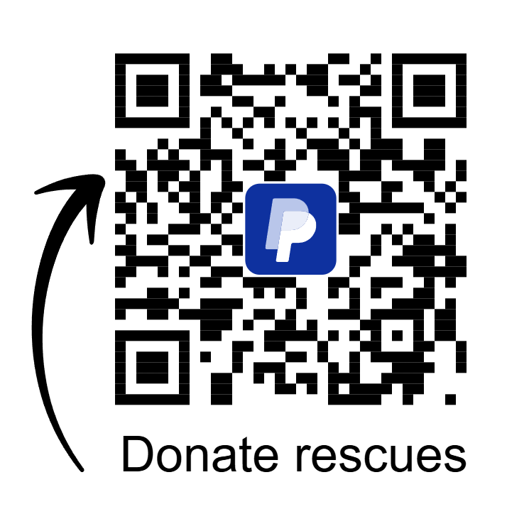 Donate Now